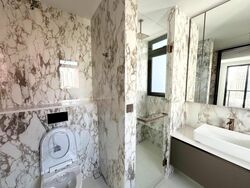 Irwell Hill Residences (D9), Apartment #446639481